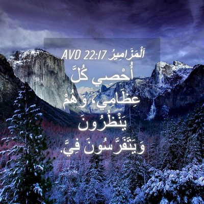 Picture 04 - اَلْمَزَامِيرُ 22:17 AVD - أُحْصِي كُلَّ عِظَامِي، - Bible Verse Picture