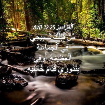 Picture 04 - اَلْمَزَامِيرُ 22:25 AVD - مِنْ قِبَلِكَ تَسْبِيحِي - Bible Verse Picture