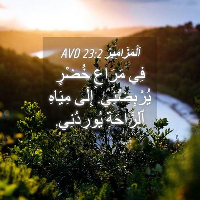 Picture 04 - اَلْمَزَامِيرُ 23:2 AVD - فِي مَرَاعٍ خُضْرٍ - Bible Verse Picture