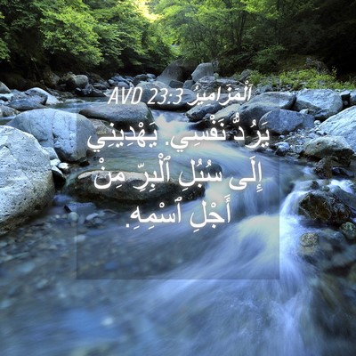 Picture 04 - اَلْمَزَامِيرُ 23:3 AVD - يَرُدُّ نَفْسِي. - Bible Verse Picture