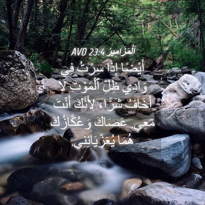 Picture 04 - اَلْمَزَامِيرُ 23:4 AVD - أَيْضًا إِذَا سِرْتُ فِي - Bible Verse Picture