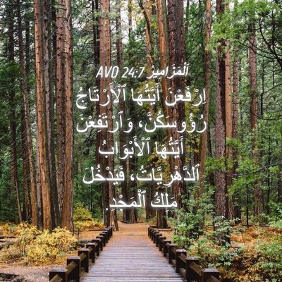 Picture 04 - اَلْمَزَامِيرُ 24:7 AVD - اِرْفَعْنَ أَيَّتُهَا - Bible Verse Picture