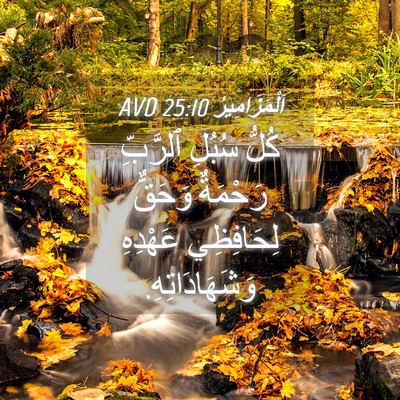 Picture 04 - اَلْمَزَامِيرُ 25:10 AVD - كُلُّ سُبُلِ ٱلرَّبِّ - Bible Verse Picture