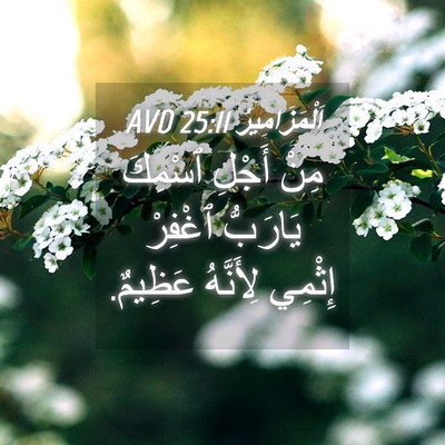 Picture 04 - اَلْمَزَامِيرُ 25:11 AVD - مِنْ أَجْلِ ٱسْمِكَ - Bible Verse Picture