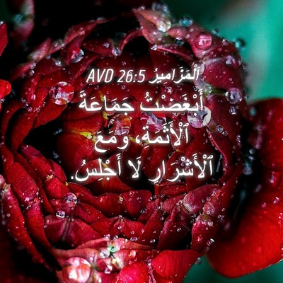 Picture 04 - اَلْمَزَامِيرُ 26:5 AVD - أَبْغَضْتُ جَمَاعَةَ - Bible Verse Picture