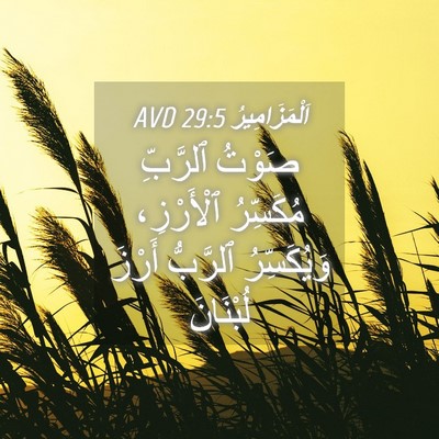 Picture 04 - اَلْمَزَامِيرُ 29:5 AVD - صَوْتُ ٱلرَّبِّ مُكَسِّرُ - Bible Verse Picture