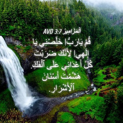 Picture 04 - اَلْمَزَامِيرُ 3:7 AVD - قُمْ يَارَبُّ! خَلِّصْنِي - Bible Verse Picture