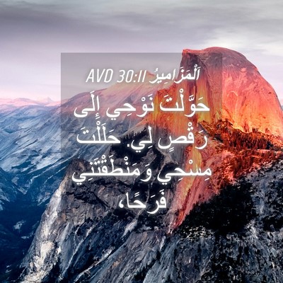 Picture 04 - اَلْمَزَامِيرُ 30:11 AVD - حَوَّلْتَ نَوْحِي إِلَى - Bible Verse Picture