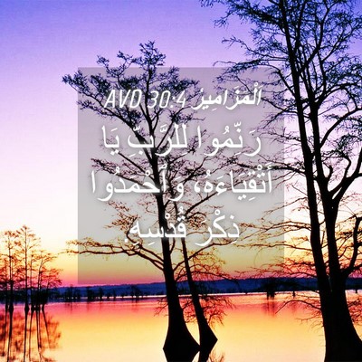 Picture 04 - اَلْمَزَامِيرُ 30:4 AVD - رَنِّمُوا لِلرَّبِّ يَا - Bible Verse Picture
