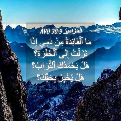 Picture 04 - اَلْمَزَامِيرُ 30:9 AVD - مَا ٱلْفَائِدَةُ مِنْ - Bible Verse Picture