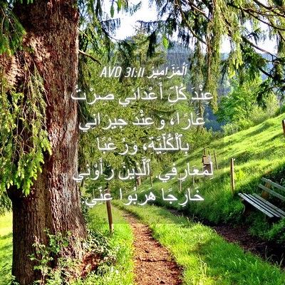 Picture 04 - اَلْمَزَامِيرُ 31:11 AVD - عِنْدَ كُلِّ أَعْدَائِي - Bible Verse Picture