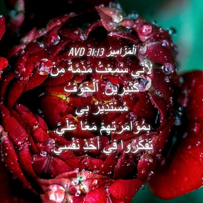 Picture 04 - اَلْمَزَامِيرُ 31:13 AVD - لِأَنِّي سَمِعْتُ - Bible Verse Picture