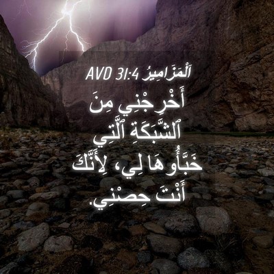 Picture 04 - اَلْمَزَامِيرُ 31:4 AVD - أَخْرِجْنِي مِنَ - Bible Verse Picture