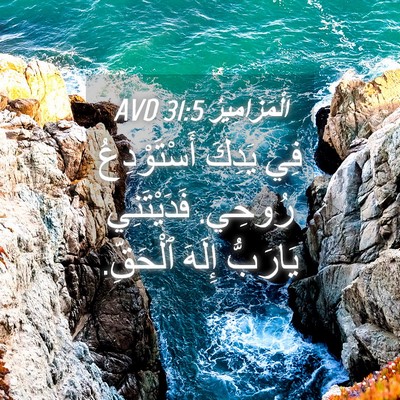 Picture 04 - اَلْمَزَامِيرُ 31:5 AVD - فِي يَدِكَ أَسْتَوْدِعُ - Bible Verse Picture