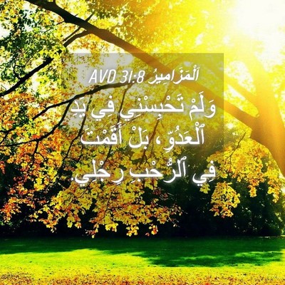 Picture 04 - اَلْمَزَامِيرُ 31:8 AVD - وَلَمْ تَحْبِسْنِي فِي - Bible Verse Picture