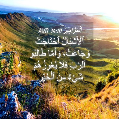 Picture 04 - اَلْمَزَامِيرُ 34:10 AVD - ٱلْأَشْبَالُ ٱحْتَاجَتْ - Bible Verse Picture