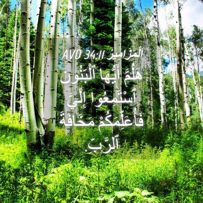 Picture 04 - اَلْمَزَامِيرُ 34:11 AVD - هَلُمَّ أَيُّهَا - Bible Verse Picture