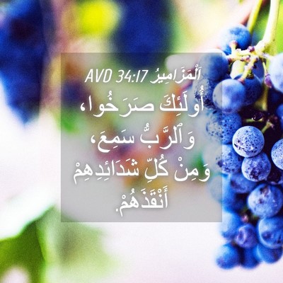 Picture 04 - اَلْمَزَامِيرُ 34:17 AVD - أُولَئِكَ صَرَخُوا، - Bible Verse Picture