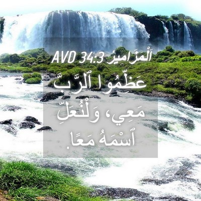 Picture 04 - اَلْمَزَامِيرُ 34:3 AVD - عَظِّمُوا ٱلرَّبَّ مَعِي، - Bible Verse Picture