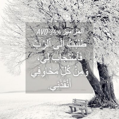 Picture 04 - اَلْمَزَامِيرُ 34:4 AVD - طَلَبْتُ إِلَى ٱلرَّبِّ - Bible Verse Picture