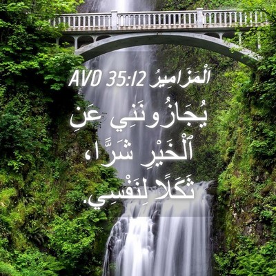 Picture 04 - اَلْمَزَامِيرُ 35:12 AVD - يُجَازُونَنِي عَنِ - Bible Verse Picture