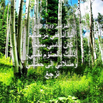 Picture 04 - اَلْمَزَامِيرُ 35:13 AVD - أَمَّا أَنَا فَفِي - Bible Verse Picture