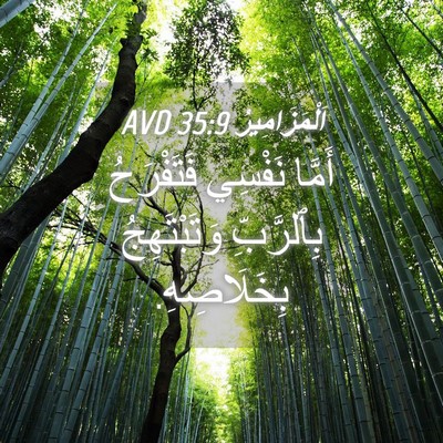 Picture 04 - اَلْمَزَامِيرُ 35:9 AVD - أَمَّا نَفْسِي فَتَفْرَحُ - Bible Verse Picture