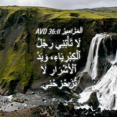 Picture 04 - اَلْمَزَامِيرُ 36:11 AVD - لَا تَأْتِنِي رِجْلُ - Bible Verse Picture