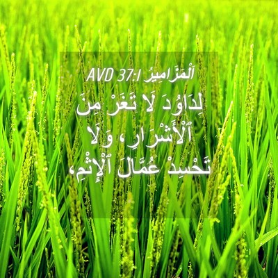 Picture 04 - اَلْمَزَامِيرُ 37:1 AVD - لِدَاوُدَ لَا تَغَرْ مِنَ - Bible Verse Picture