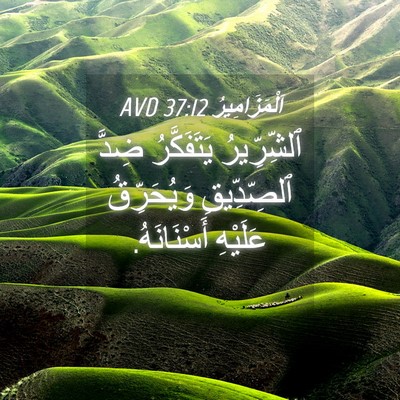 Picture 04 - اَلْمَزَامِيرُ 37:12 AVD - ٱلشِّرِّيرُ يَتَفَكَّرُ - Bible Verse Picture