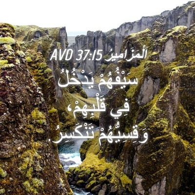 Picture 04 - اَلْمَزَامِيرُ 37:15 AVD - سَيْفُهُمْ يَدْخُلُ فِي - Bible Verse Picture