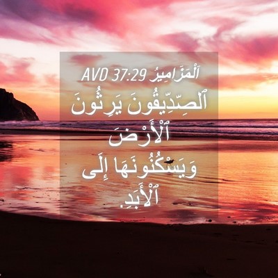 Picture 04 - اَلْمَزَامِيرُ 37:29 AVD - ٱلصِّدِّيقُونَ يَرِثُونَ - Bible Verse Picture