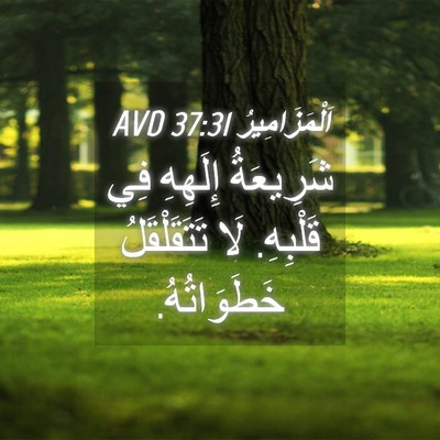 Picture 04 - اَلْمَزَامِيرُ 37:31 AVD - شَرِيعَةُ إِلَهِهِ فِي - Bible Verse Picture