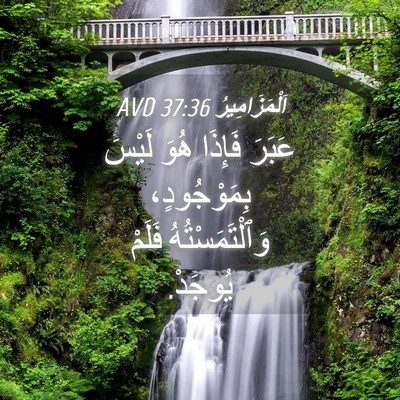 Picture 04 - اَلْمَزَامِيرُ 37:36 AVD - عَبَرَ فَإِذَا هُوَ لَيْسَ - Bible Verse Picture