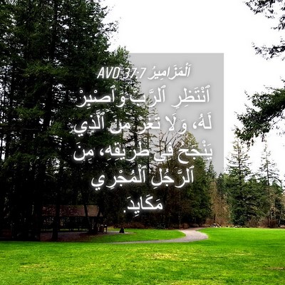 Picture 04 - اَلْمَزَامِيرُ 37:7 AVD - ٱنْتَظِرِ ٱلرَّبَّ - Bible Verse Picture