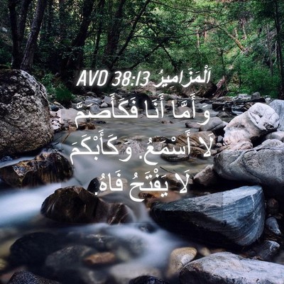 Picture 04 - اَلْمَزَامِيرُ 38:13 AVD - وَأَمَّا أَنَا - Bible Verse Picture