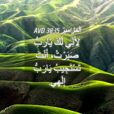 Picture 04 - اَلْمَزَامِيرُ 38:15 AVD - لِأَنِّي لَكَ يَارَبُّ - Bible Verse Picture