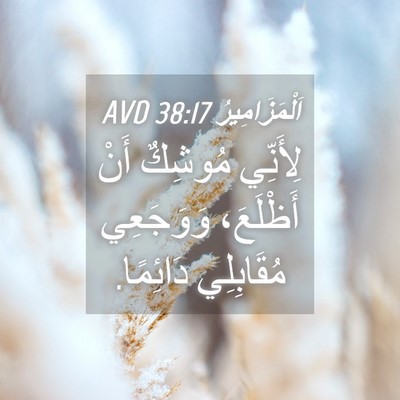 Picture 04 - اَلْمَزَامِيرُ 38:17 AVD - لِأَنِّي مُوشِكٌ أَنْ - Bible Verse Picture