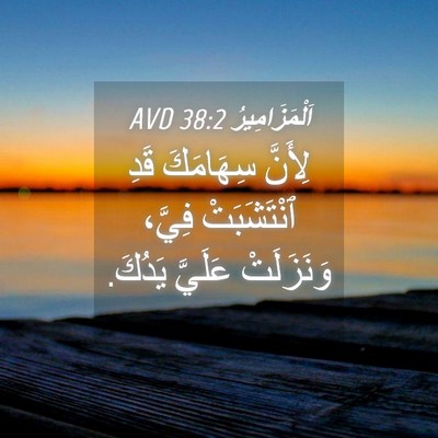 Picture 04 - اَلْمَزَامِيرُ 38:2 AVD - لِأَنَّ سِهَامَكَ قَدِ - Bible Verse Picture