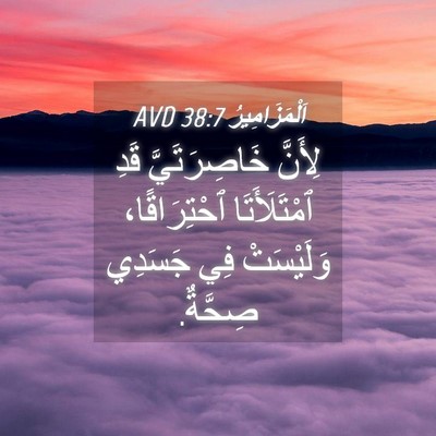 Picture 04 - اَلْمَزَامِيرُ 38:7 AVD - لِأَنَّ خَاصِرَتَيَّ قَدِ - Bible Verse Picture