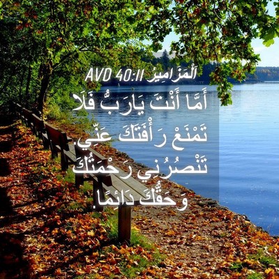 Picture 04 - اَلْمَزَامِيرُ 40:11 AVD - أَمَّا أَنْتَ يَارَبُّ - Bible Verse Picture