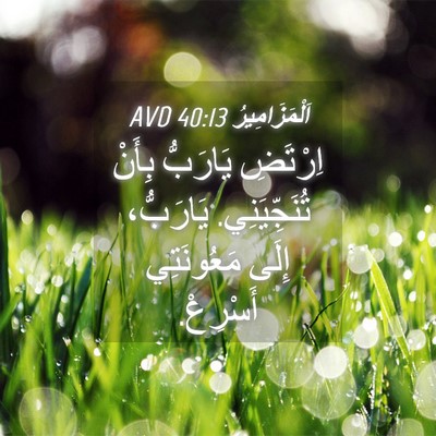Picture 04 - اَلْمَزَامِيرُ 40:13 AVD - اِرْتَضِ يَارَبُّ بِأَنْ - Bible Verse Picture