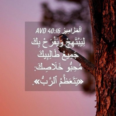Picture 04 - اَلْمَزَامِيرُ 40:16 AVD - لِيَبْتَهِجْ وَيَفْرَحْ - Bible Verse Picture