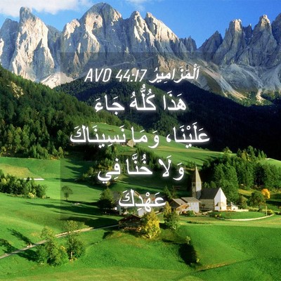 Picture 04 - اَلْمَزَامِيرُ 44:17 AVD - هَذَا كُلُّهُ جَاءَ - Bible Verse Picture