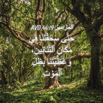 Picture 04 - اَلْمَزَامِيرُ 44:19 AVD - حَتَّى سَحَقْتَنَا فِي - Bible Verse Picture
