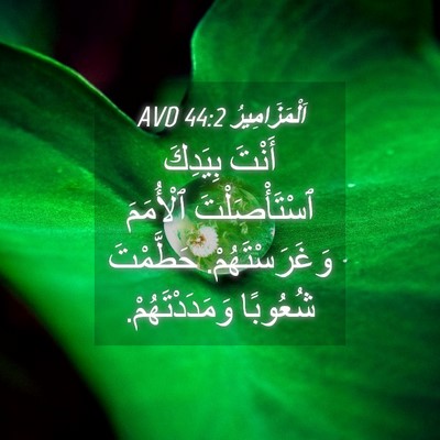Picture 04 - اَلْمَزَامِيرُ 44:2 AVD - أَنْتَ بِيَدِكَ - Bible Verse Picture