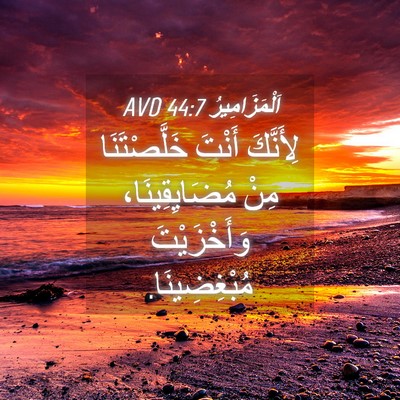Picture 04 - اَلْمَزَامِيرُ 44:7 AVD - لِأَنَّكَ أَنْتَ - Bible Verse Picture