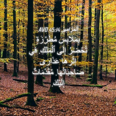 Picture 04 - اَلْمَزَامِيرُ 45:14 AVD - بِمَلَابِسَ مُطَرَّزَةٍ - Bible Verse Picture