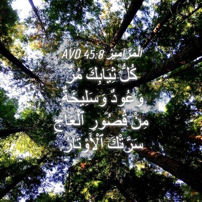 Picture 04 - اَلْمَزَامِيرُ 45:8 AVD - كُلُّ ثِيَابِكَ مُرٌّ - Bible Verse Picture