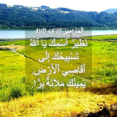 Picture 04 - اَلْمَزَامِيرُ 48:10 AVD - نَظِيرُ ٱسْمِكَ يَا ٱللهُ - Bible Verse Picture